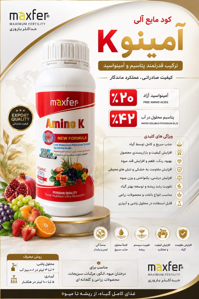 ماکسفر آمینو کا