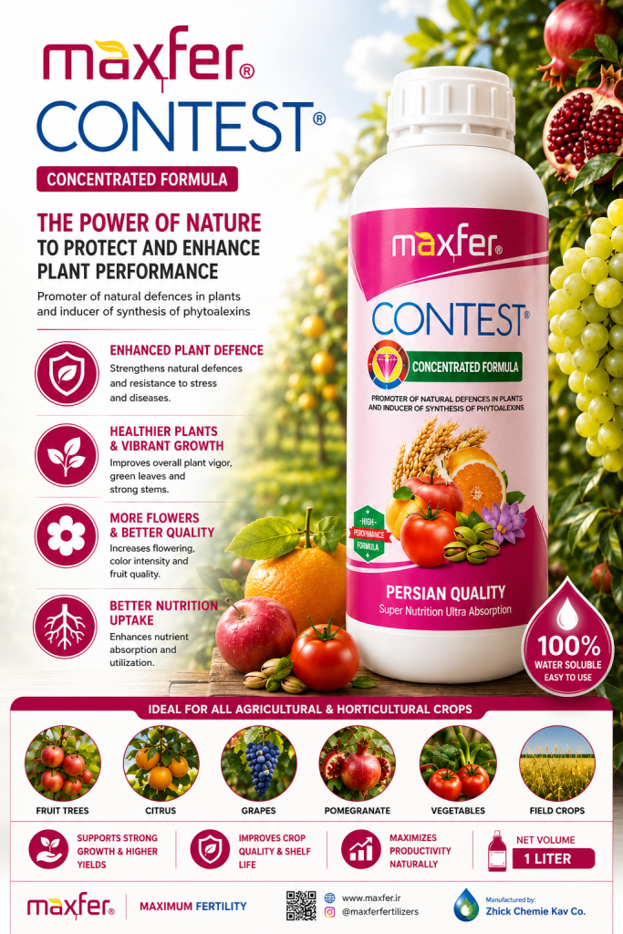Contest