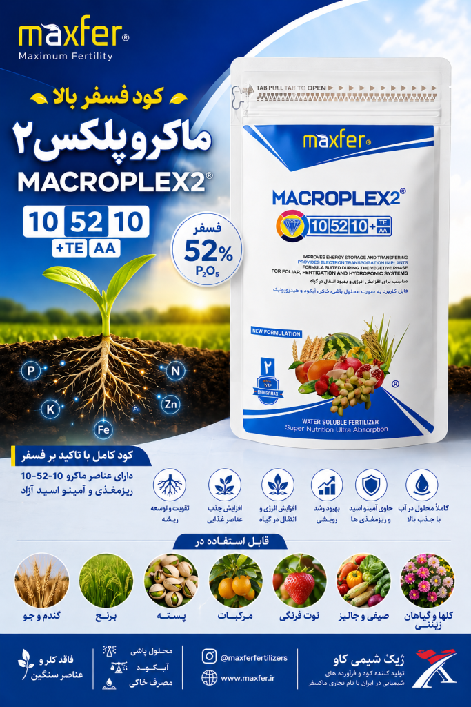 ماکروپلکس۲ ماکسفر