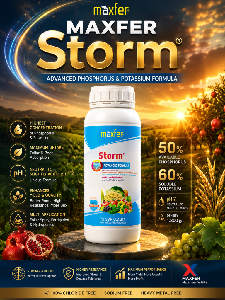 storm
