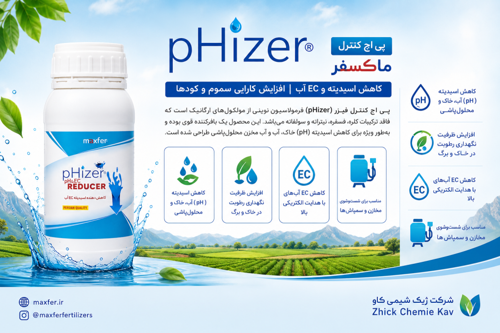فیزر ماکسفر