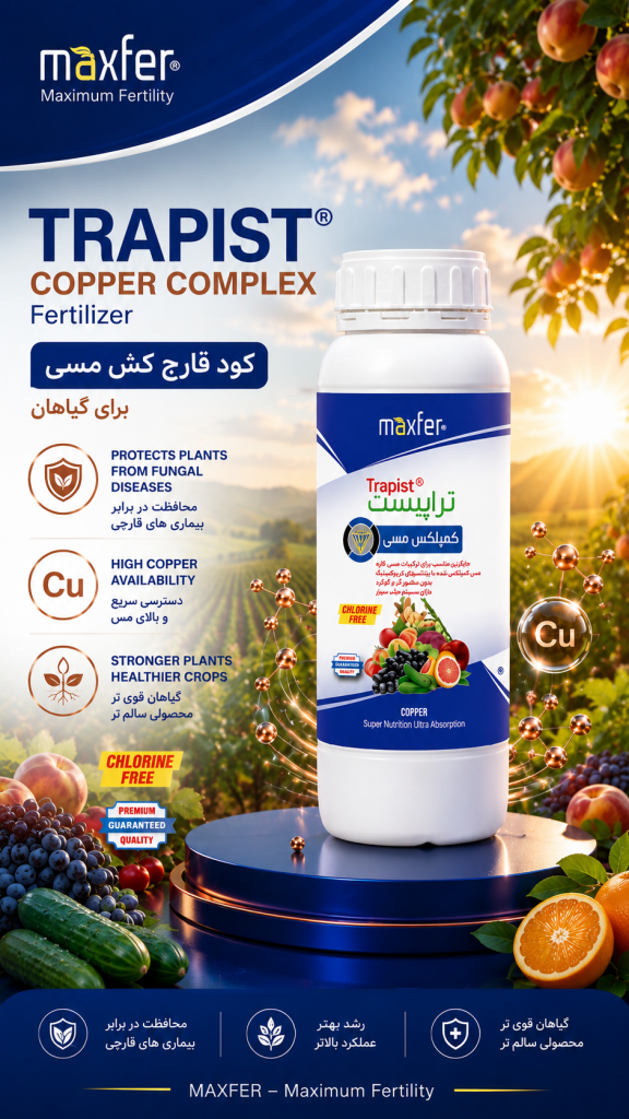 تزاپیست ماکسفر