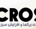 میکروسیس