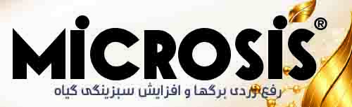 میکروسیس